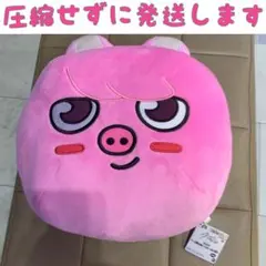ドボイズ ソヌ ぬいぐるみ トンコ 40cm クッション マスター シール