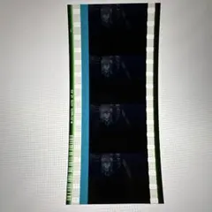 ヴァイオレットエヴァーガーデン フィルム＆コンサート チケット