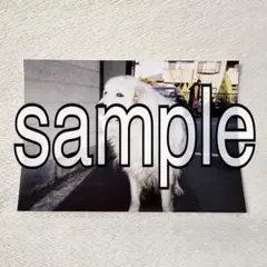 Item thumbnail for item b34833cf-fe79-4746-97dc-3de4b81e778a