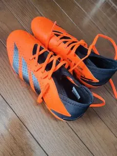 Item thumbnail for item 0b9df03c-fc36-49ae-94ea-7aa3adb80126