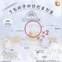 うちの子のけだまだま　犬　プードル　2個セット