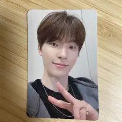 SEVENTEEN sector17 中国ヨントントレカ ディノ