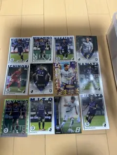 Item thumbnail for item a394c9f2-f703-4746-98f3-87fea0055b62