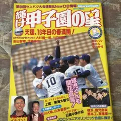 s.r.s.n.777様 リクエスト 2点 まとめ商品