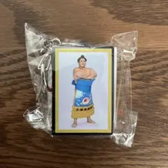 もっちゃん@購入前にプロフ確認して下さい様 リクエスト 2点 まとめ商品