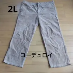 メンズ コーデュロイ 2L