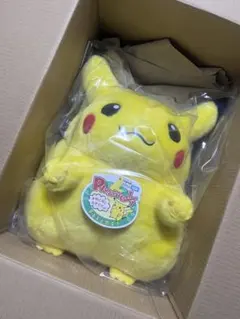 ポケットモンスター ポケモン30周年記念 おかえり！ ピカチュウ1/1