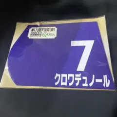 第63回 宝塚記念 出走馬ミニゼッケン タイトルホルダー - メルカリ