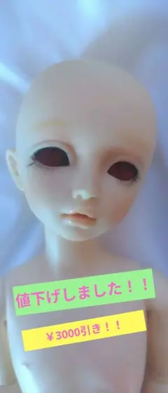 MSD サクラ スタンダードモデル 女の子 ボークス ドール 本体 MSD サクラ スタンダードモデル 女の子 ボークス ドール 本体 - メルカリ