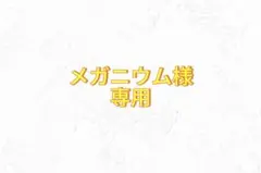 メガニウム様専用