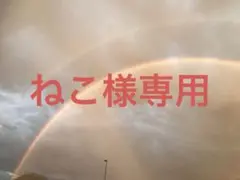 ねこ様専用ページ