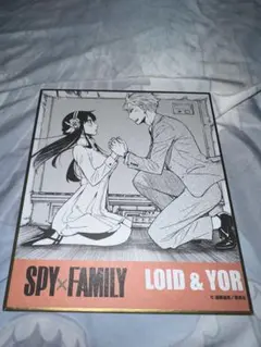 SPY×FAMILY 色紙 ロイド ヨル