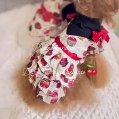 2026年最新】キャンディブッピーの人気アイテム - メルカリ