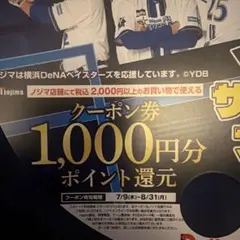 ノジマ（nojima） クーポン券 1000円分ポイント還元 【2枚】のサムネイル