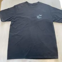 Patagonia Pataloha Tシャツ ホノルル ハワイ限定のサムネイル
