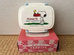 Item thumbnail for item e1dacd1d-3e21-4043-a5b7-c7883bfb2975