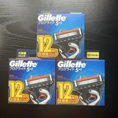 未使用品　 Gillette プログライド 5+1 替え刃 12個入り2箱セット Gillette プログライド 5+1 替刃 12個入 3箱セット - メルカリ