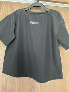 tシャツ テニス　スポーツ　レディースのサムネイル