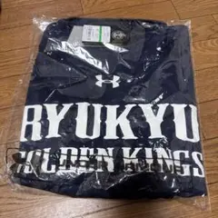 ☆値下げ☆琉球ゴールデンキングス 団結の力Tシャツ 2022-23 SEASON
