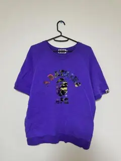 Item thumbnail for item 727f8d43-1001-4a9c-afec-6224153e3ca9