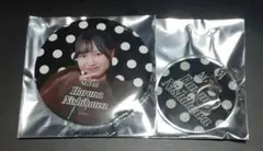 Item thumbnail for item 099c8006-a443-4e1f-ac0d-6c46414c882c