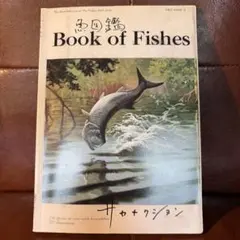 t*4様 サカナクション魚図鑑 魚大図鑑 完全生産限定盤3CD 深海付き