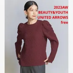 未使用＊BEAUTY&YOUTH UNITED ARROWSパフスリーブPO V