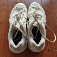 Item thumbnail for item b6ee6cf3-1811-44d7-8847-ad5d87e270d6