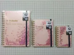 ロルバーン グリッター 全色セット ミント ライトブルー クリーム
