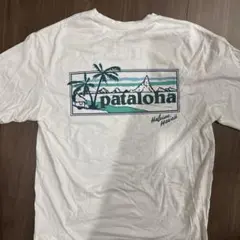pataloha ハワイハレイワ店限定パタゴニア patagonia TシャツS