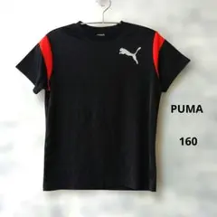 PUMA プーマ 半袖Tシャツ 160cm ブラック レッド サッカー　ウェア