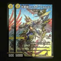 フィオナフォレスト2枚 セット - メルカリ