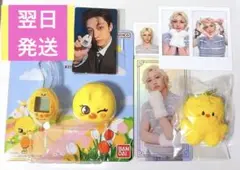 たまごっち ポガリ フィリックスStrayKidsスキズ ペンミ ぬい マイクロ