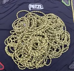 Item thumbnail for item 82ec1b0b-b090-4678-8760-c15b695fdc01