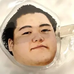 大相撲ガチャ 王鵬関　フェイス力士ヘアピン　カプセルトイ
