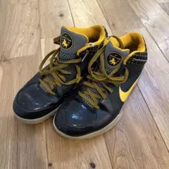 Nike KOBE4 DELSOL