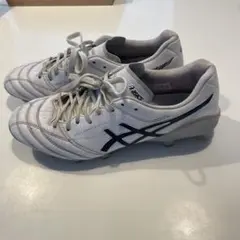 ASICS DS LIGHT X-FLY 5 25.0cm