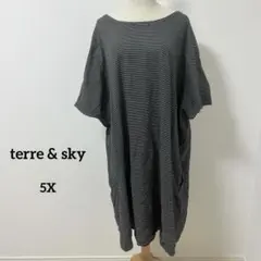 大きめサイズ　海外古着✨　ストライプ カットソーワンピース ポケット付き　5X