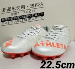 Item thumbnail for item 394dc305-2f90-421b-a03f-3ff05c1c78c5