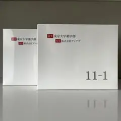 新品　未開封　11-1　いちいちのいち 11-1（ いちいちのいち ） 60g （ 2g × 30包 殺菌乳酸菌及び