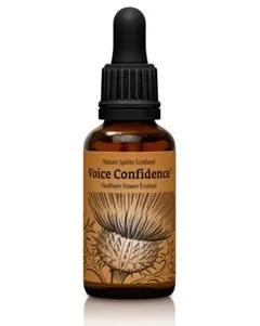 Item thumbnail for item 20e8c2d2-e8c4-4b4f-82fd-d68e91978f12