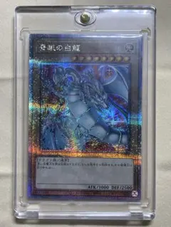 青眼の白龍　25th ブルーアイズホワイトドラゴン　絵違い　クオシク　QCAC