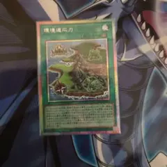 遊戯王OCG 環境適応力 1枚 プリシク