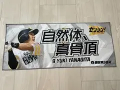 オリックスバファローズ 頓宮裕真 ビジター限定応援タオル - メルカリ