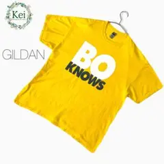 ✳️ ギルダン Tシャツ クルーネック 半袖 3L 4L 黄 綿 大きい ゆったりのサムネイル