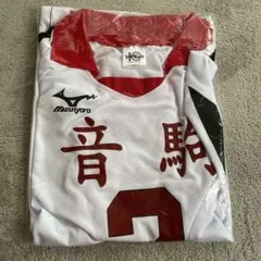 ハイキュー　アニメ10周年記念　高校ユニフォーム　夜久衛輔　XL