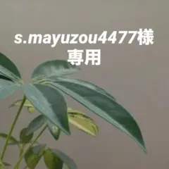 Item thumbnail for item 5a11100d-ae0e-4777-9e49-fd10b9629127