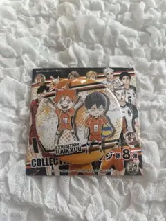 ハイキュー　日向翔陽　影山飛雄　缶バッジ