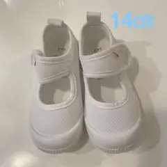 ホワイト メッシュ 上履き 14.0