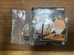 ハイキュー　日向翔陽